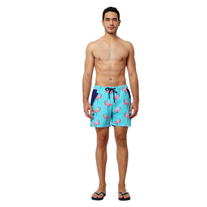 RC falmingos swim shorts